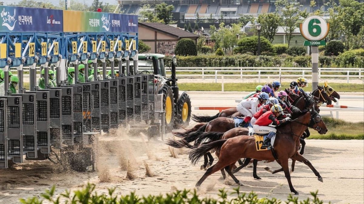 Mamak24 - The Basics of Horse Racing Betting at Mamak24 - Mamak247